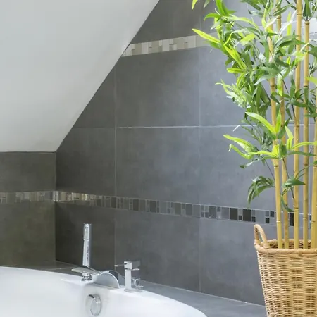 Nouveau - Le Funtastic - Europa Park Rulantica 아파트 후텐하임